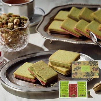 PISTA&TOKYO sX^`IThA\[g (PT-22)